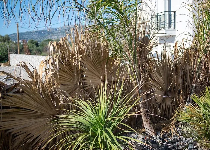 The Azure アパート *